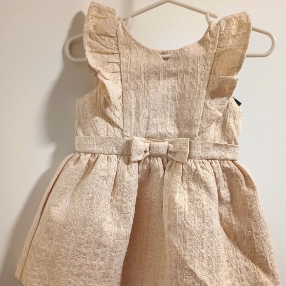 Baby Girl Oshkosh Dress